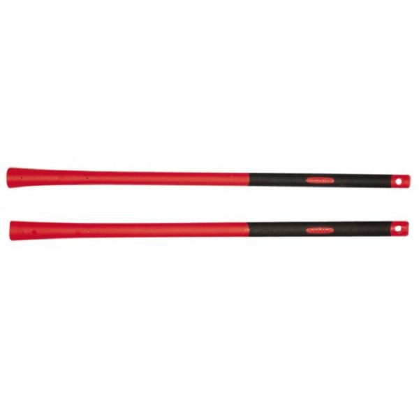 MANGO PICACHON RATIO.